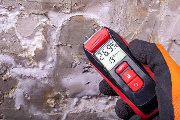 Best Attic Mold Remediation in Spencer, OK