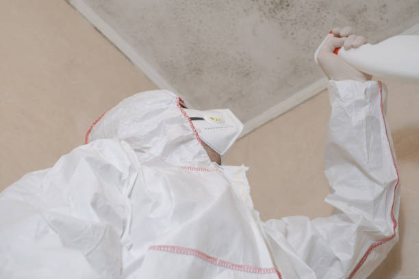 Best Post-Flood Mold Remediation in Spencer, OK