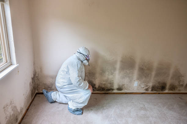 Best Residential Mold Remediation in Spencer, OK