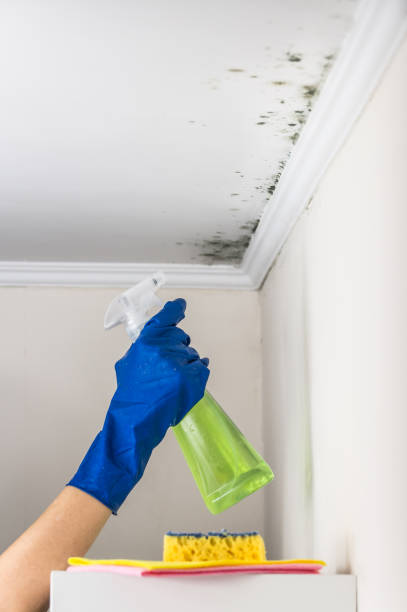 Best Bathroom Mold Remediation in Spencer, OK